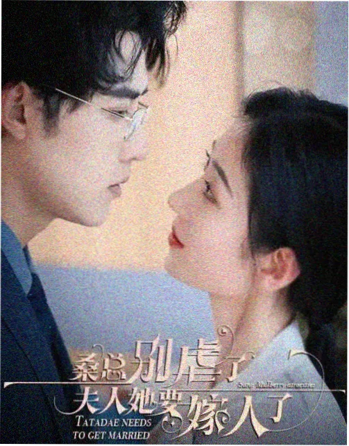 旧城故事 成全影视电视剧免费观看