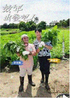 音乐现场纪 成全影视综艺在线观看